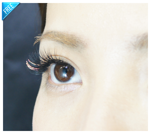 rame-blog02 ラメアイラッシュ無償提供画像02