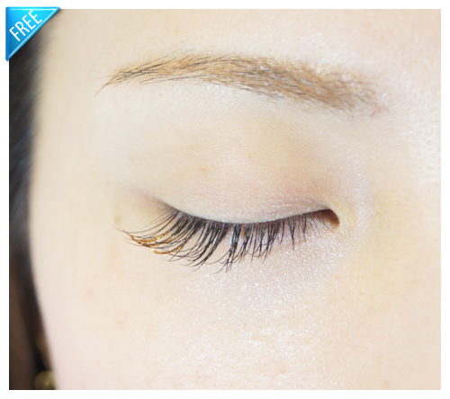 rame-blog03 ラメアイラッシュ無償提供画像03