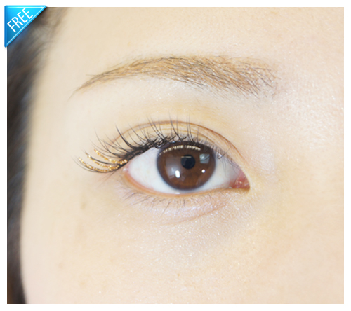 rame-blog04 ラメアイラッシュ無償提供画像04